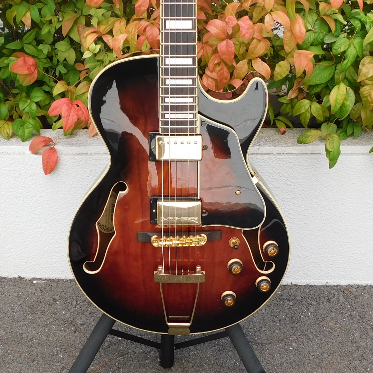 h*e様 Ibanez AG95QA-DBS/スモールボディフルアコ・ウッドブリ Ibanez AG95QA-DBS（中古）【楽器検索デジマート】