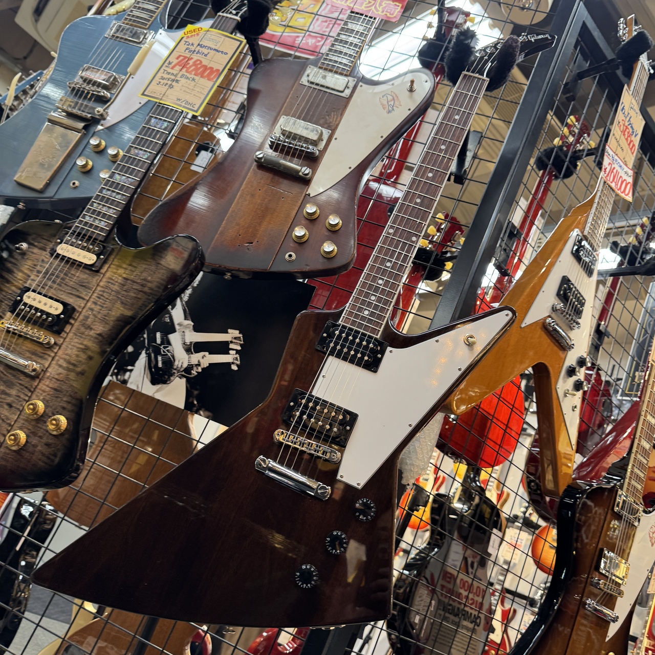 Gibson 【渋いウォルナット】Original Collection 70s Explorer Dark
