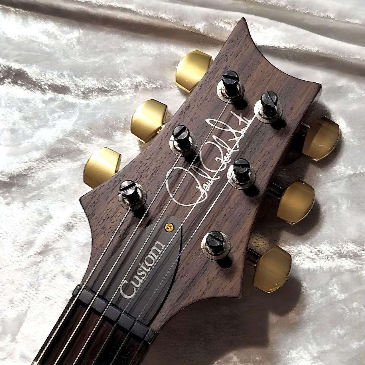 PRS Custom24 10Top 2018年式 Paul Reed Smith(PRS) Custom 24 10Top カスタムカラー(塗装