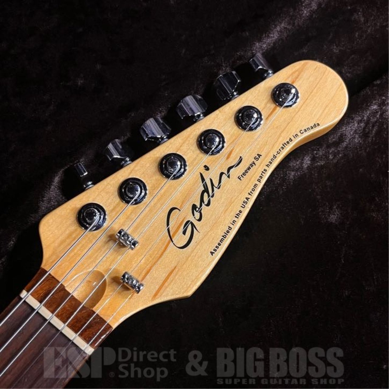 Godin FREEWAY SA（中古/送料無料）【楽器検索デジマート】
