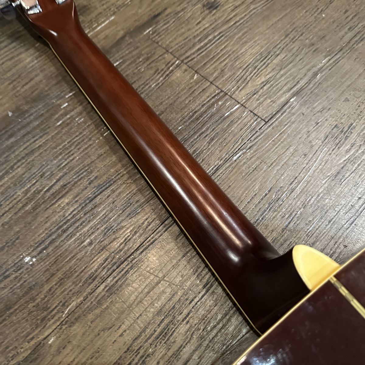 Tokai Cat's Eyes CE-200D Acoustic Guitar （中古/送料無料
