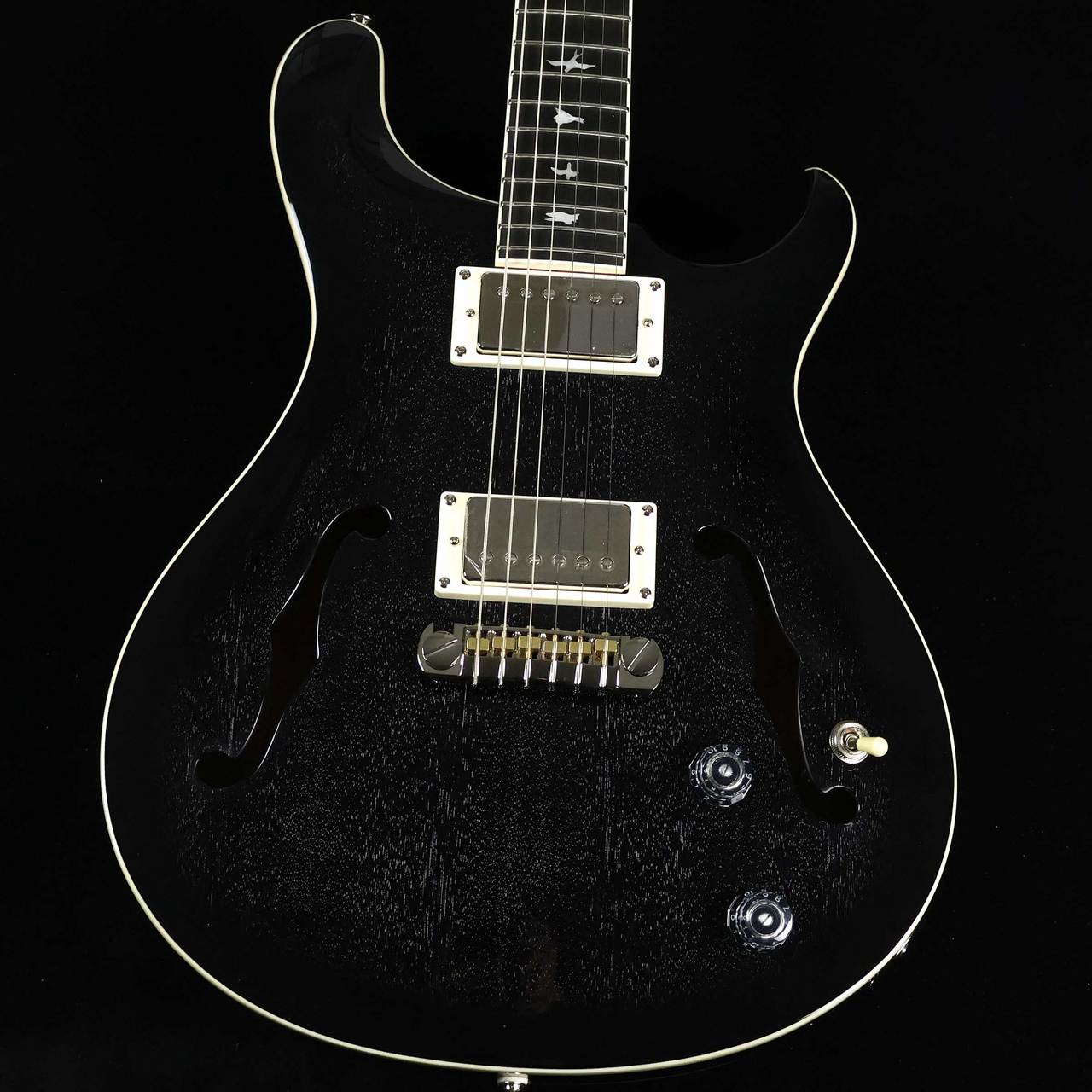 Paul Reed Smith(PRS) SE Hollowbody Standard Dog Hair Smokeburst 