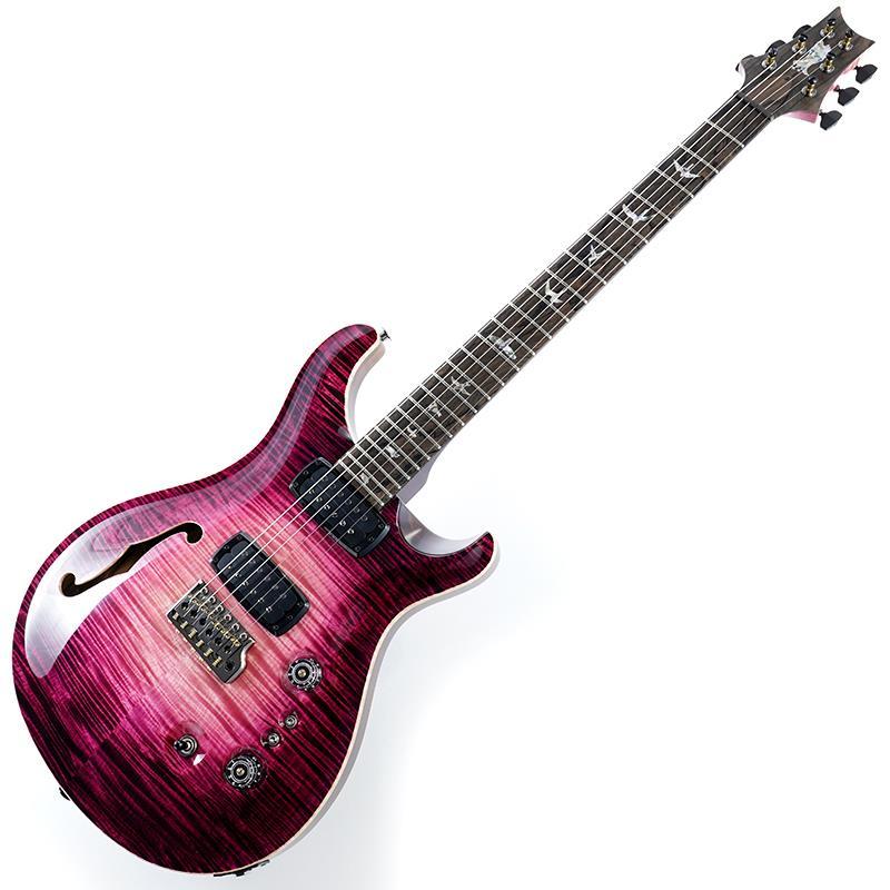 Paul Reed Smith(PRS) Private Stock #11592 Custom 24-08 Semi-Hollow