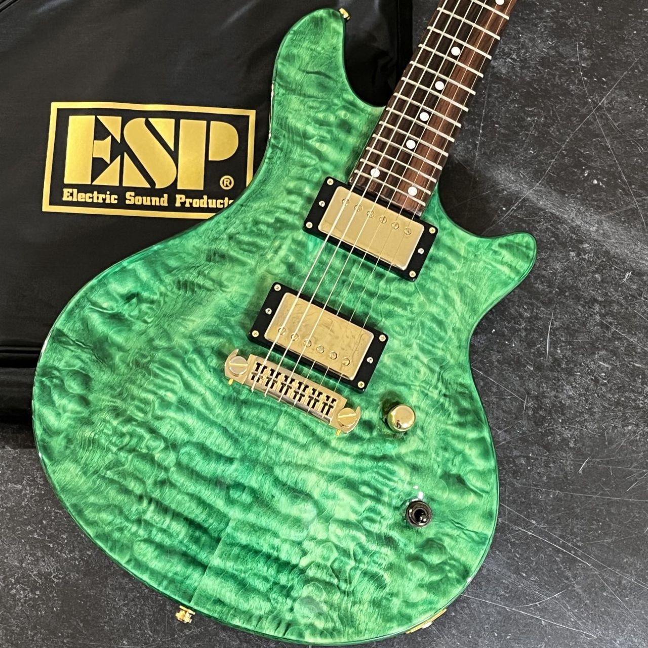 EDWARDS 【USED】 E-U-HL2　【現物写真】