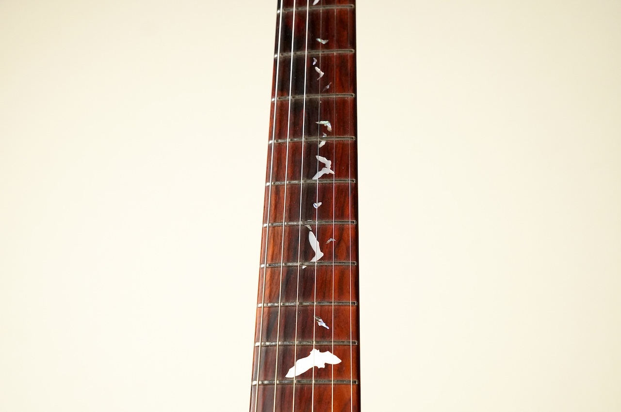 Sugi DS496C POP/ALD -Sandy Blue- [3.76kg]（新品特価）【楽器