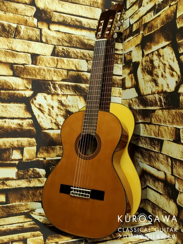 ARIA アリア A20-58 ミニギター【日本総本店2F 在庫品】（新品/送料無料）【楽器検索デジマート】