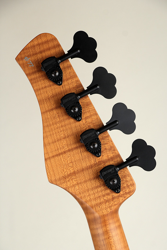 Healy Custom Bass エレキベース Healy Custom Bass エレキベース