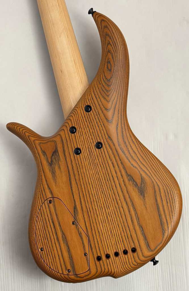 F-bass 【48回無金利】Deluxe BN5【NEW】（新品/送料無料）【楽器検索