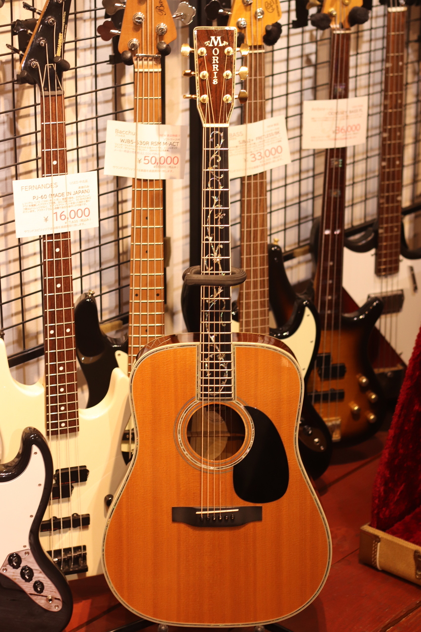 Morris W-1200D Brazilian Rosewood（中古/送料無料）【楽器検索