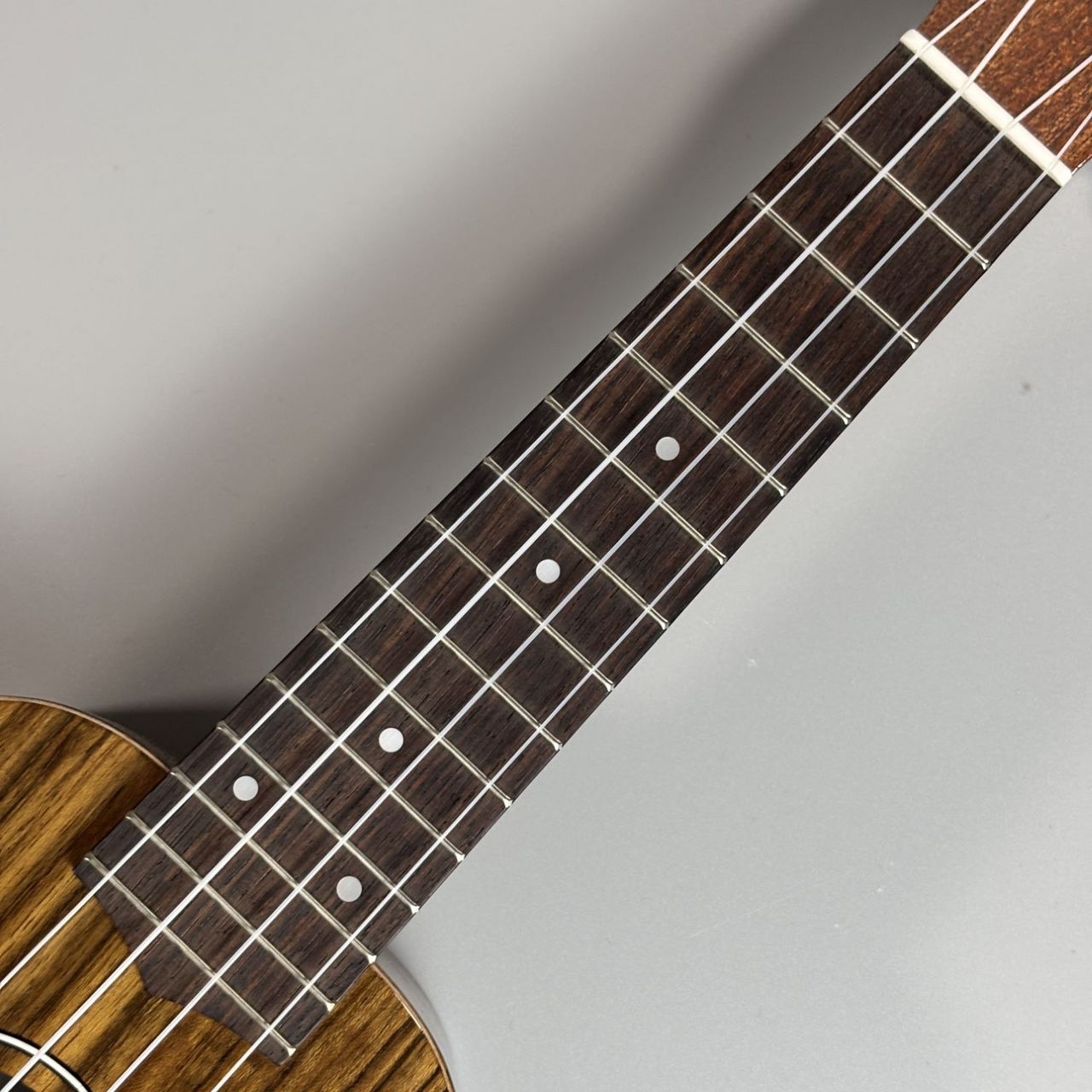 ウクレレ　COTONE CS3S CS3S COTONE オリジナルブランド | 島村楽器