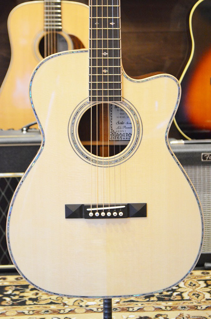 ASTURIAS SOLO PREMIUM（新品）【楽器検索デジマート】