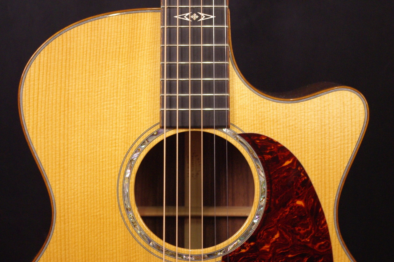 Martin GPCPA1 Plus（中古）【楽器検索デジマート】