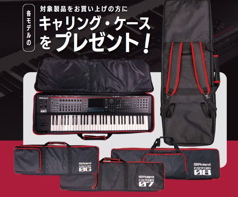 Roland (ローランド)FANTOM-08【キャリングケースプレゼント】（新品