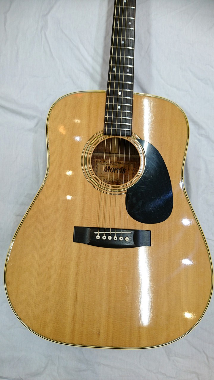 Morris W-20（中古）【楽器検索デジマート】