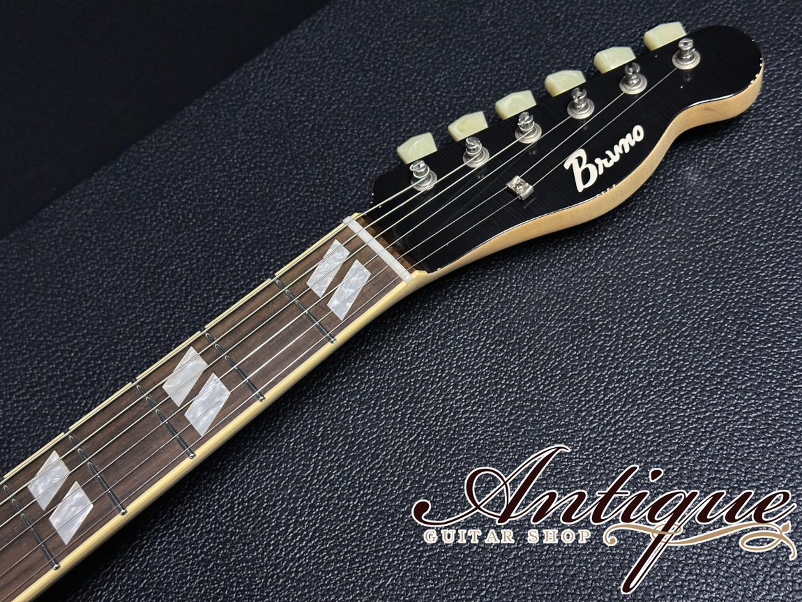 Bruno Guitars TN-295 Semi-Hollow 2024 Brass Powder Gold Aged