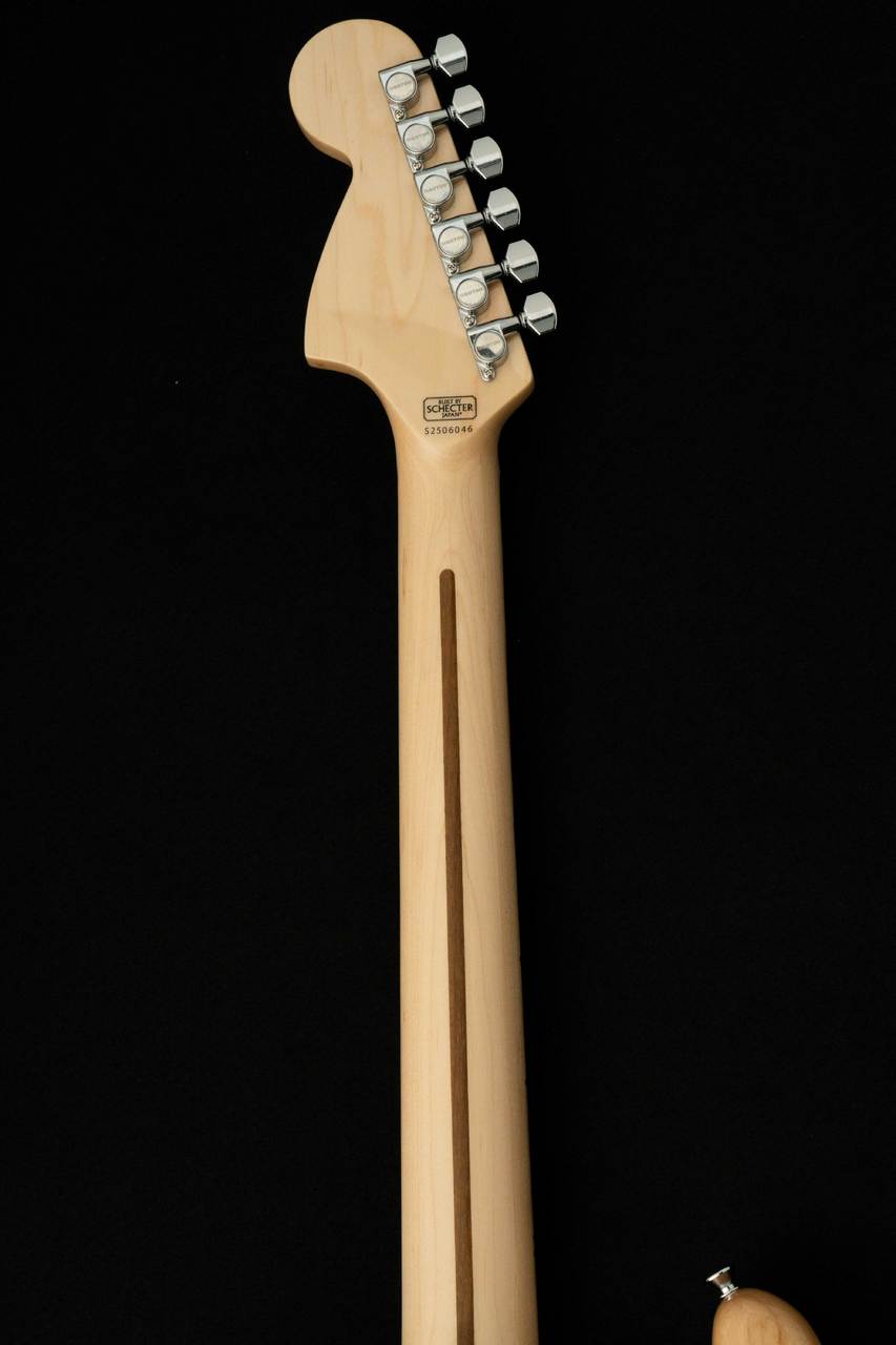 SCHECTER PS-ST-DH-SC-AS -Natural- #S2506046 【スキャロップ指板