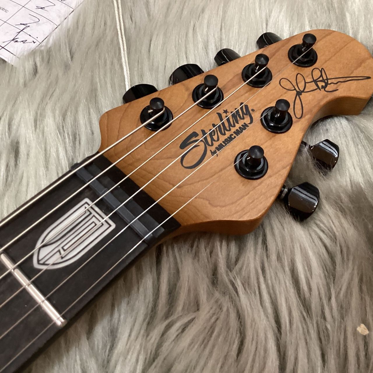 Sterling by MUSIC MAN JP150DFM-E2（新品/送料無料）【楽器検索
