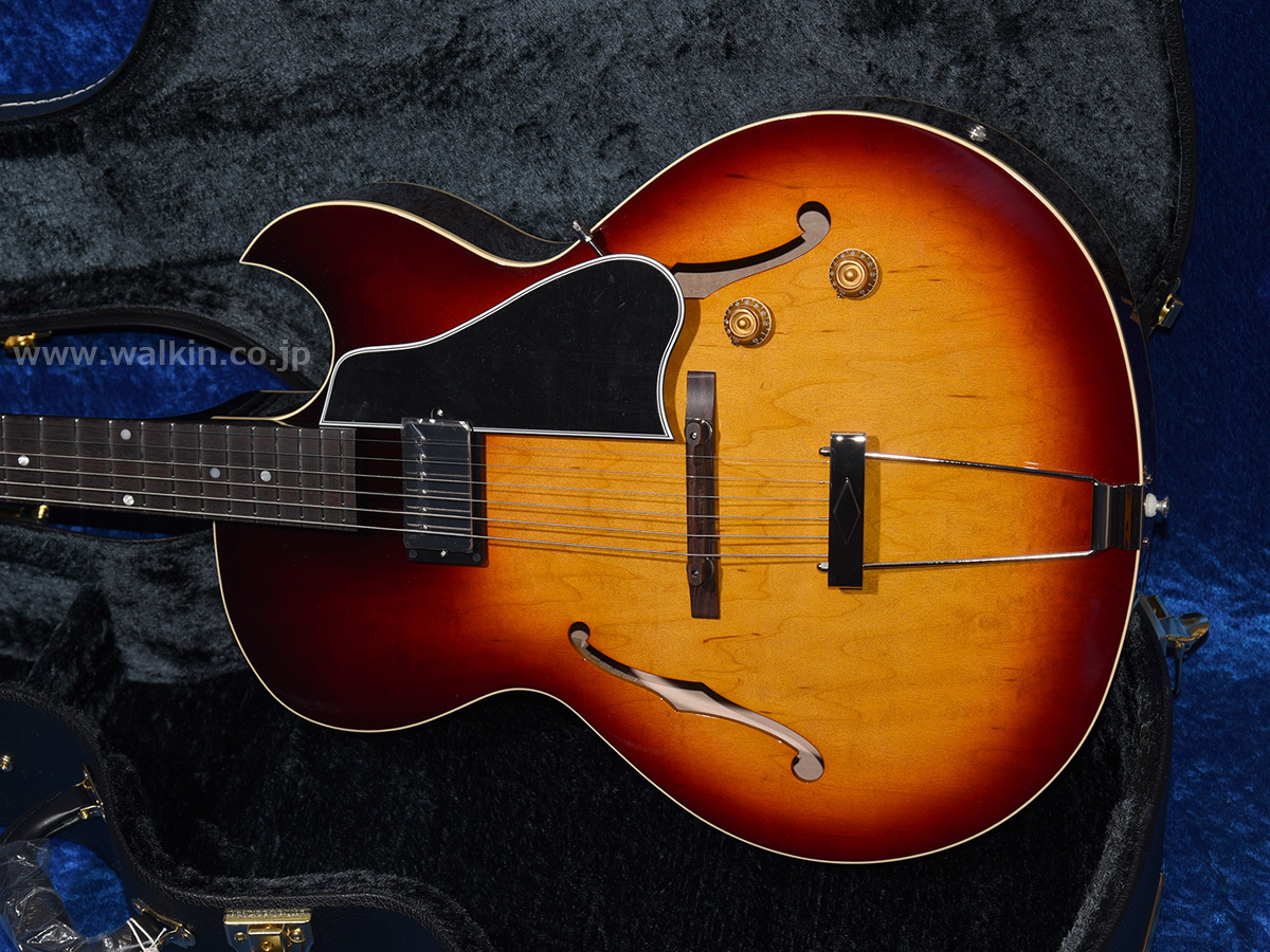 Archtop Tribute AT101（新品）【楽器検索デジマート】