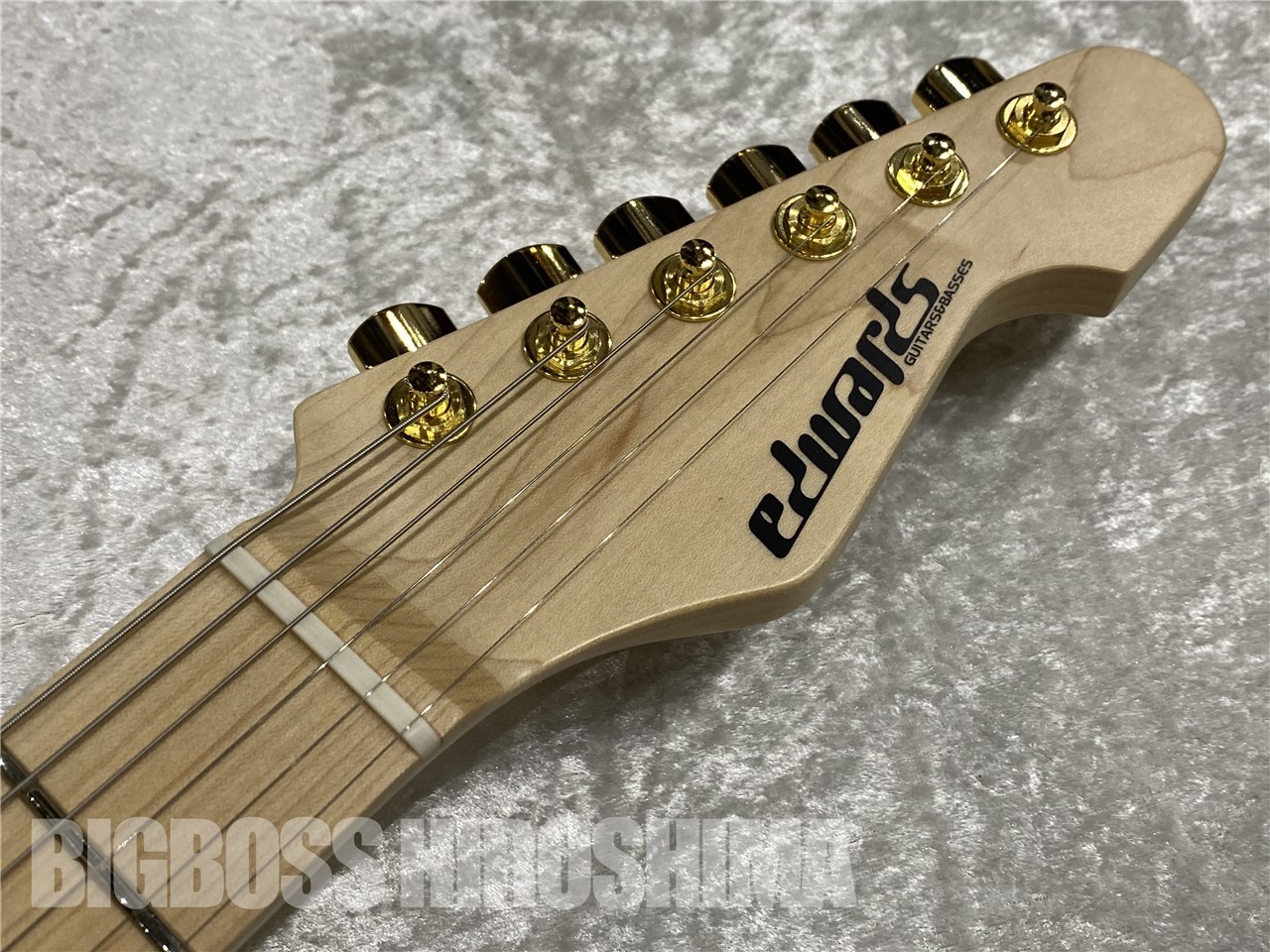 EDWARDS E-SNAPEER TO (Eclipse Gold)（新品/送料無料）【楽器