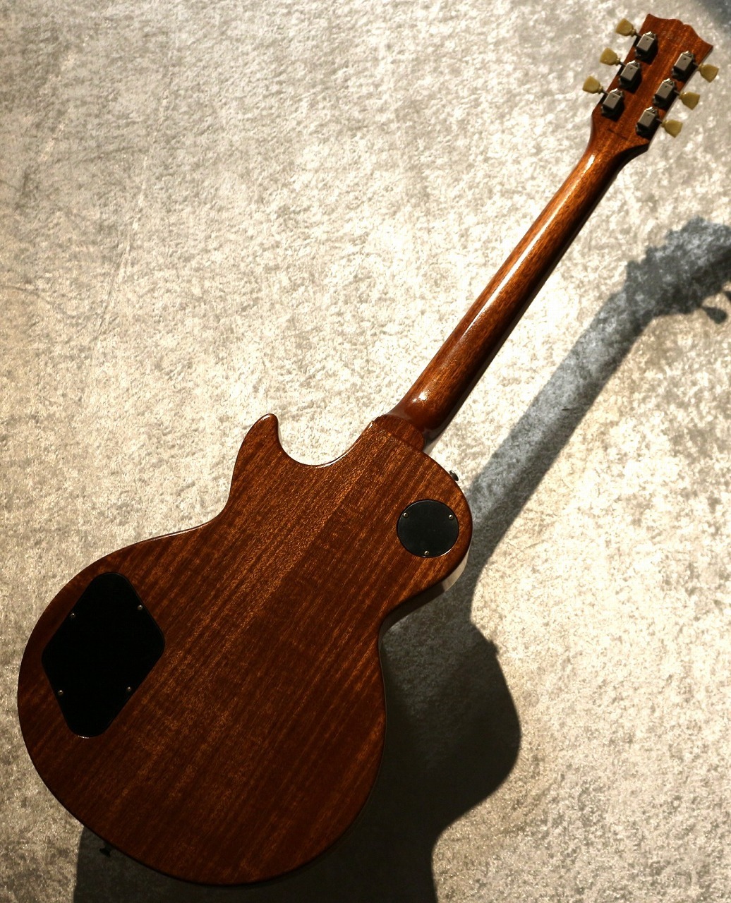 Tokai 【特注!】【漆黒ハカランダ指板!】LS366S/WA-CM ~Gold Top