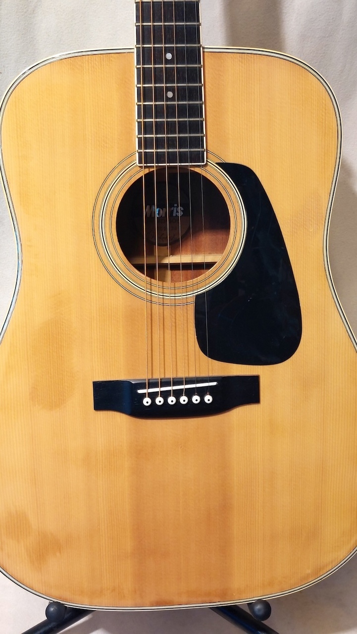 Morris MD-505（中古）【楽器検索デジマート】