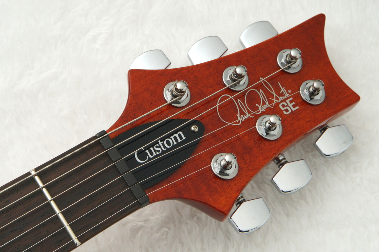 かぴ丸 Paul Reed Smith PRS SE PRS Paul Reed Smith SE Paul's Guitar