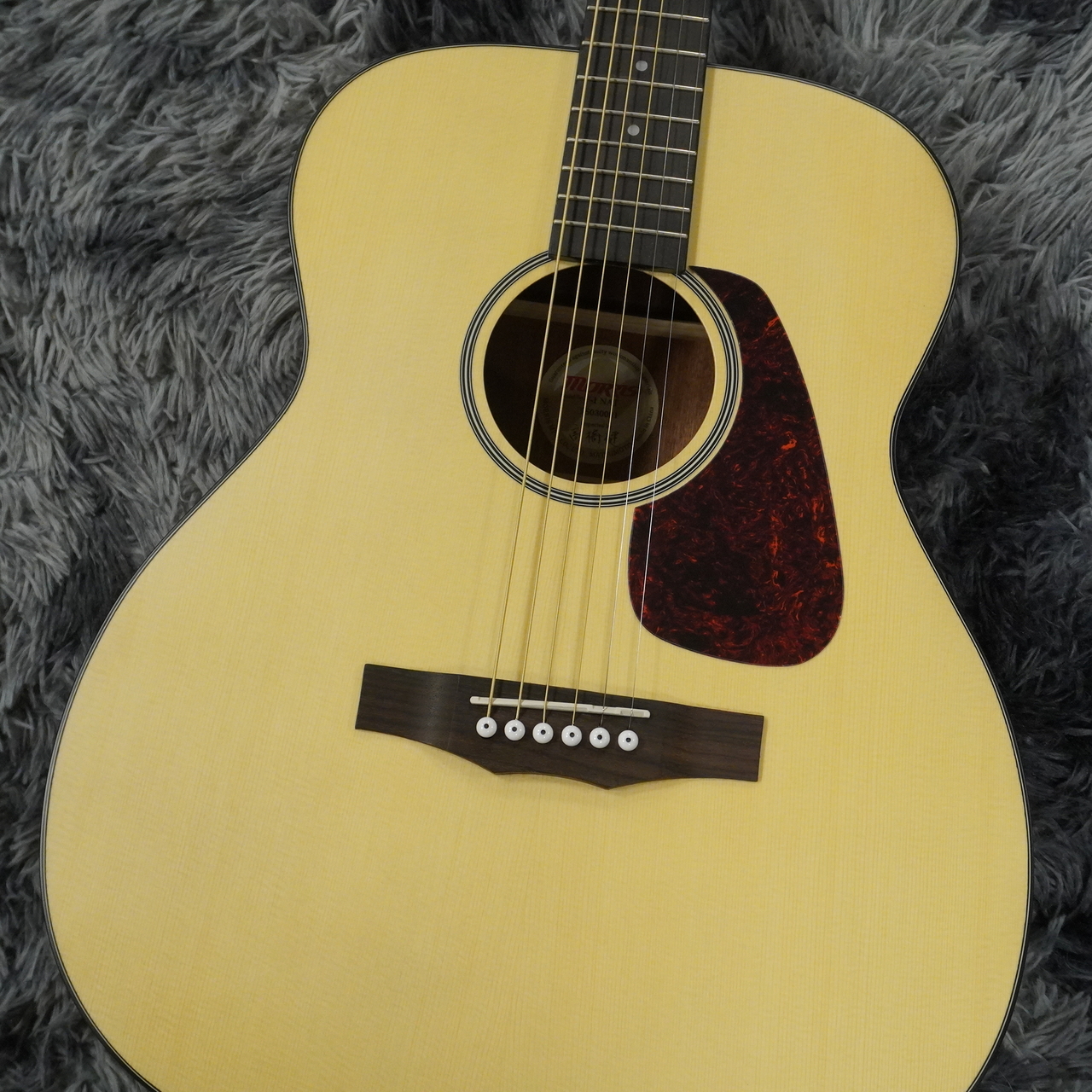 Morris F-1 2025 Renewed Series NAT -Performers Edition