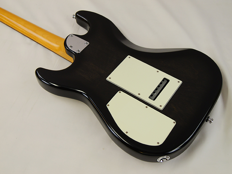Godin session 2015年製【USED】（中古）【楽器検索デジマート】
