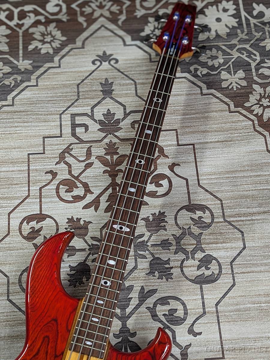Aria Pro II SB-R80 -Padauk Red-【1982/USED】（中古）【楽器検索