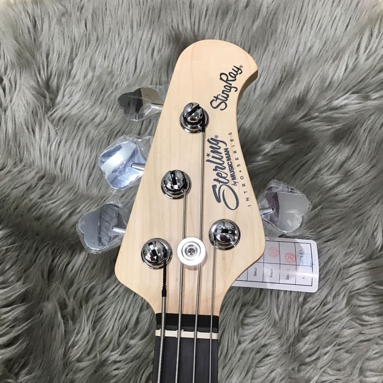 Sterling by MUSIC MAN SUB STINGRAY RAY2-A1 Misty Green（新品