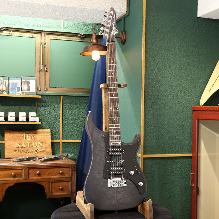 Vigier Guitars Excalibur Special VE6-CVSP1, Velours Noir