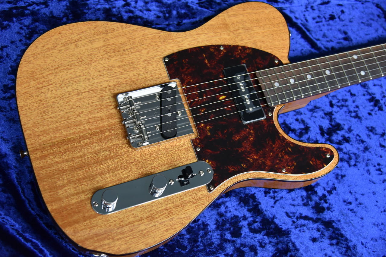 Tokai ATE103S N/R（新品）【楽器検索デジマート】