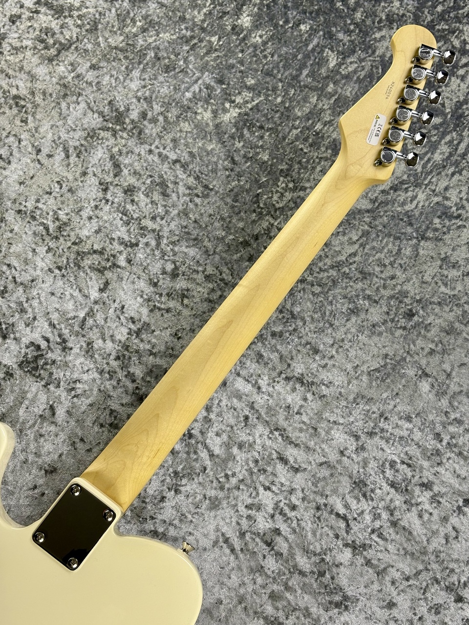 FUJIGEN(FGN) Basic Classic Series BCTE100RBD-VWH ~Vintage