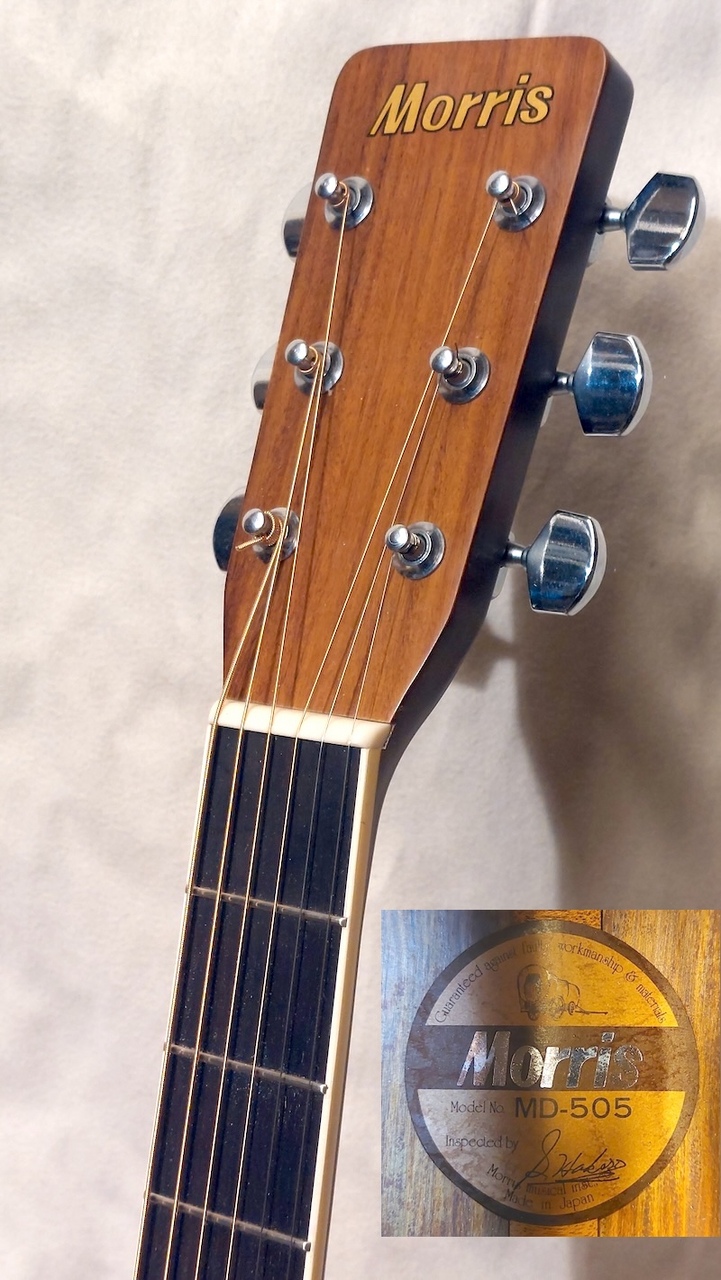 Morris MD-505（中古）【楽器検索デジマート】
