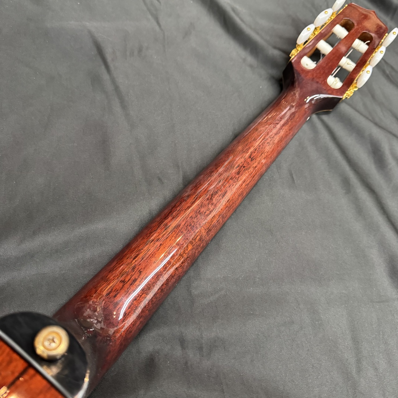 Takamine エレガット　クラシックギター　PTU608n Takamine PTU608N (タカミネ クラシックギター)（中古）【楽器検索