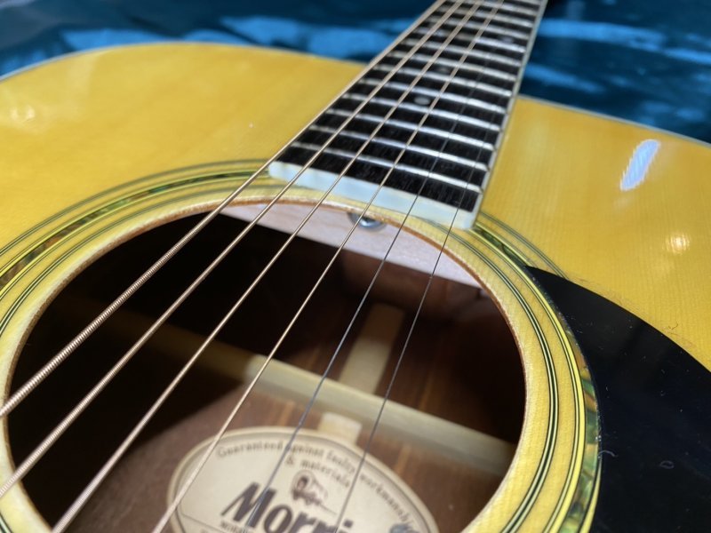 Morris W-25 アコースティックギター（中古）【楽器検索デジマート】