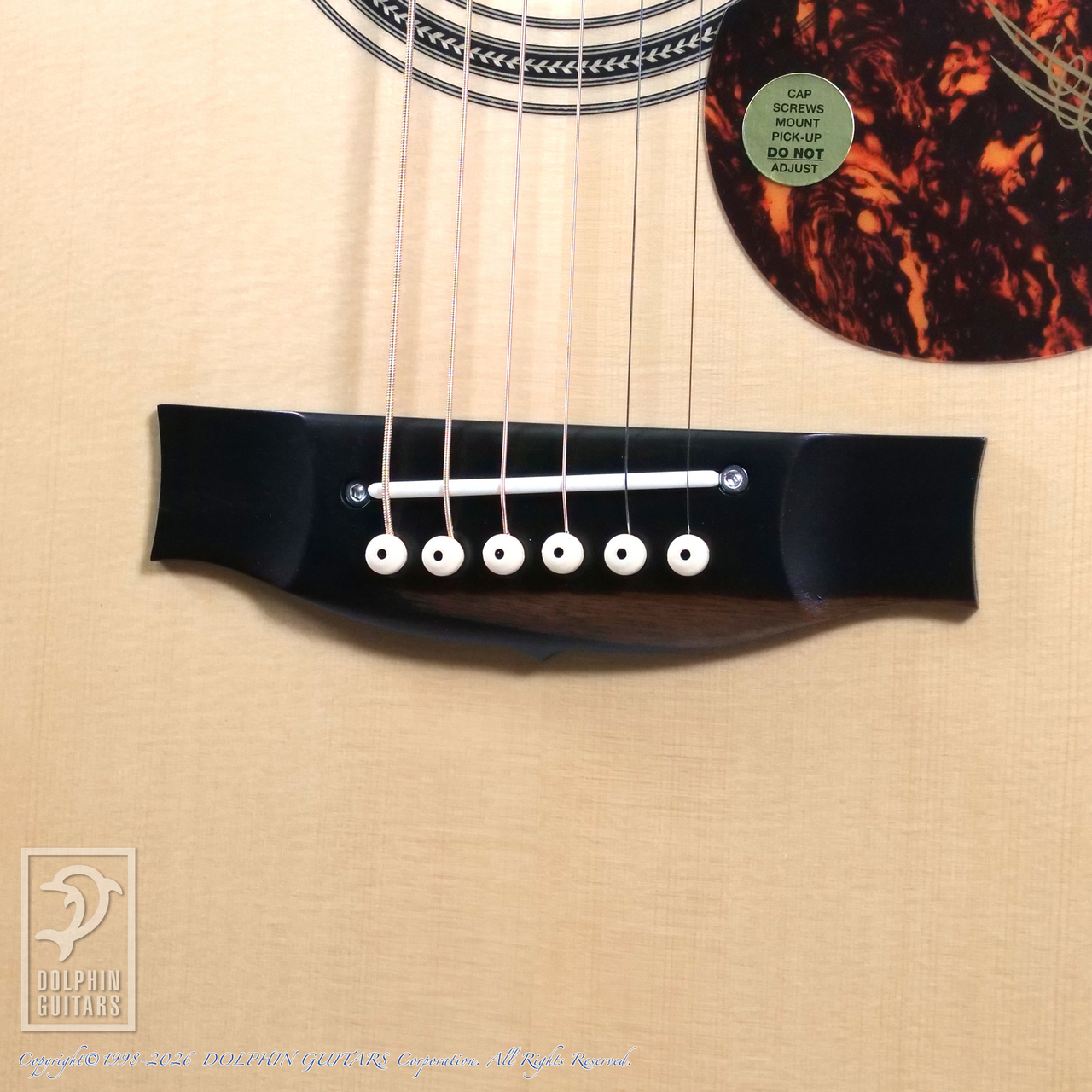 MATON EBG808TE (Tommy Emmanuel Signature)【60回無金利対象品 
