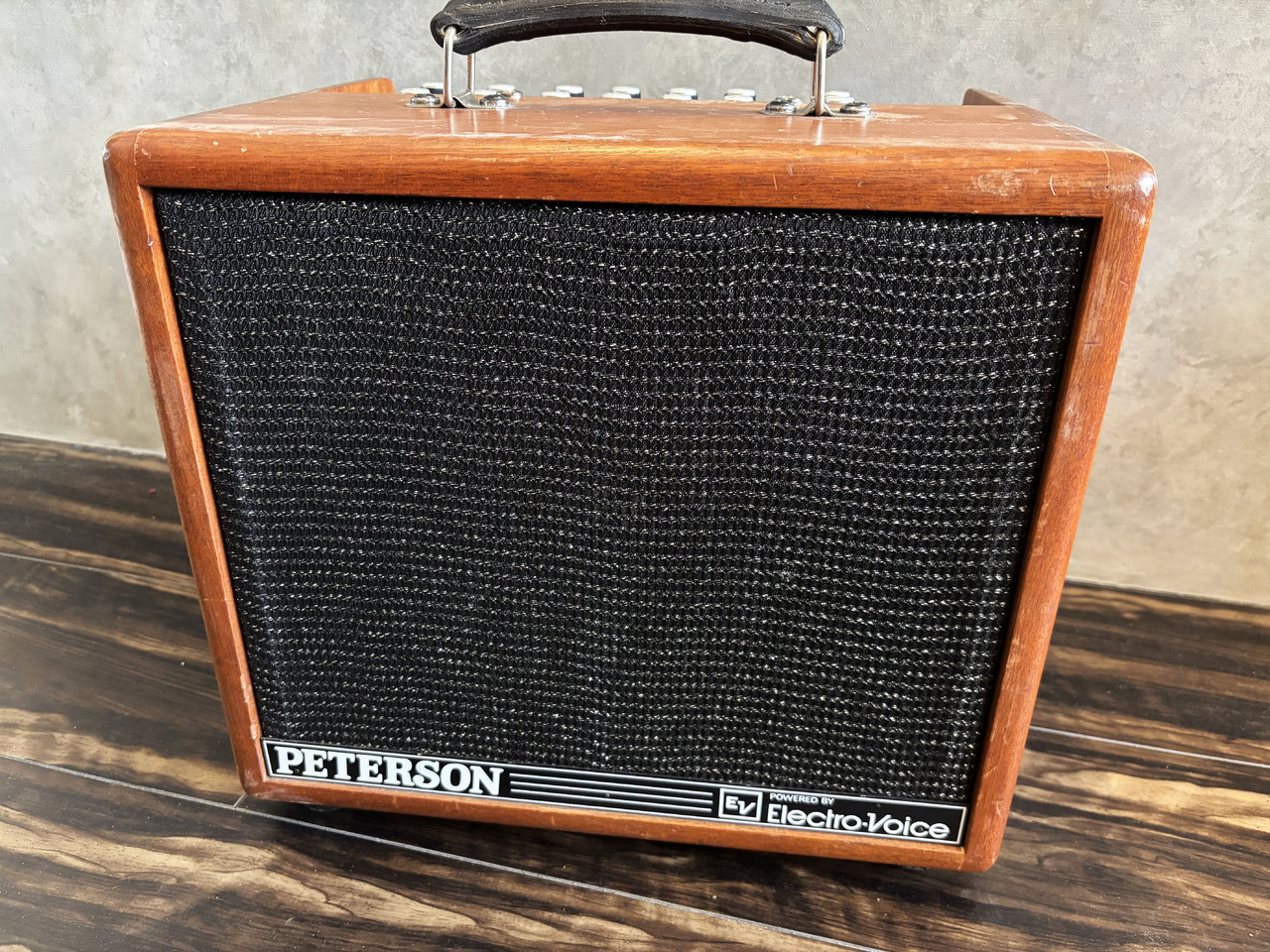 PETERSON P100G MKⅡ w/EV（中古）【楽器検索デジマート】