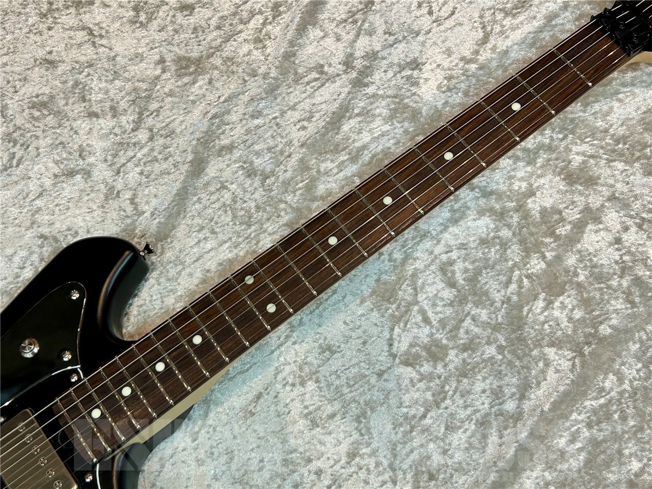 T.S factory 151A-MO F/R仕様 (Black Stain)（新品/送料無料）【楽器