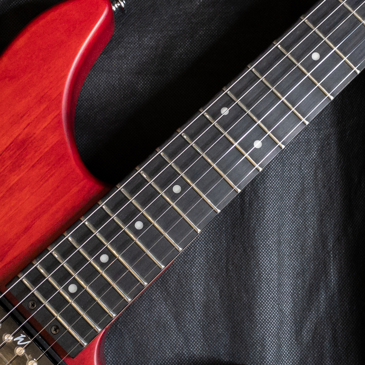 Washburn N2-NUNO PADAUK ヌーノ・ベッテンコートシグネチャー