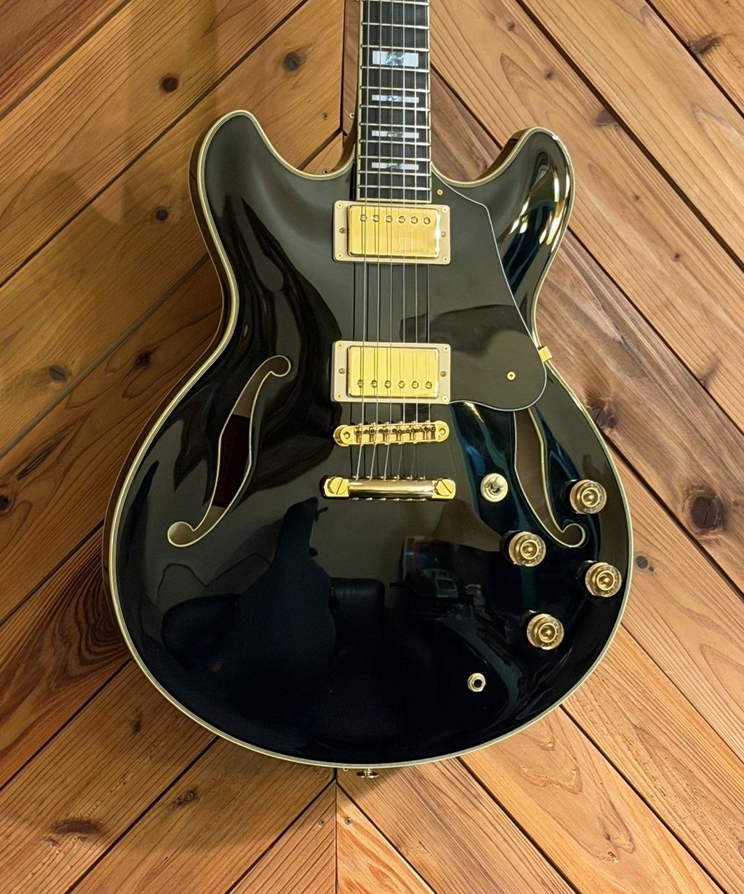 Ibanez JSM20TH-BK John Scofield Signature Guitar 20th Anniversary