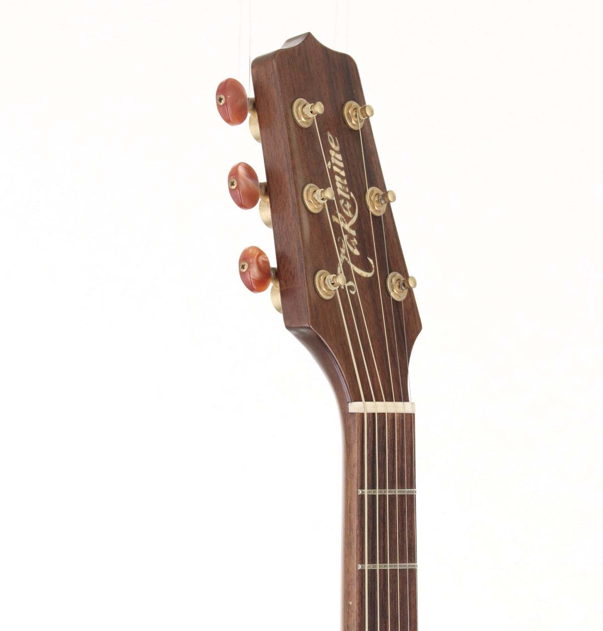 Takamine LTD-99 The Mountain [1999年製] タカミネ 【池袋店】（中古