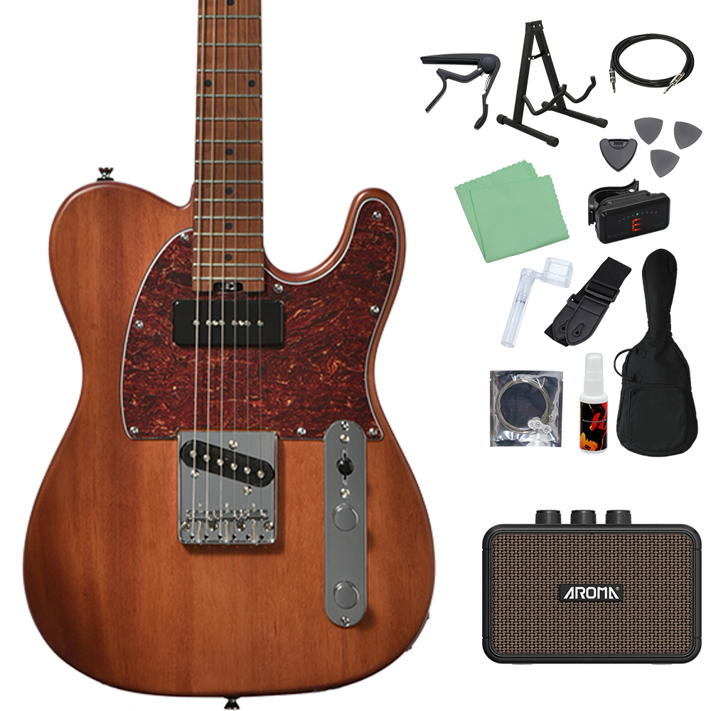 Bacchus TACTICS-STD/RSM 初心者セット ミニアンプ付 BR-S テレキャス