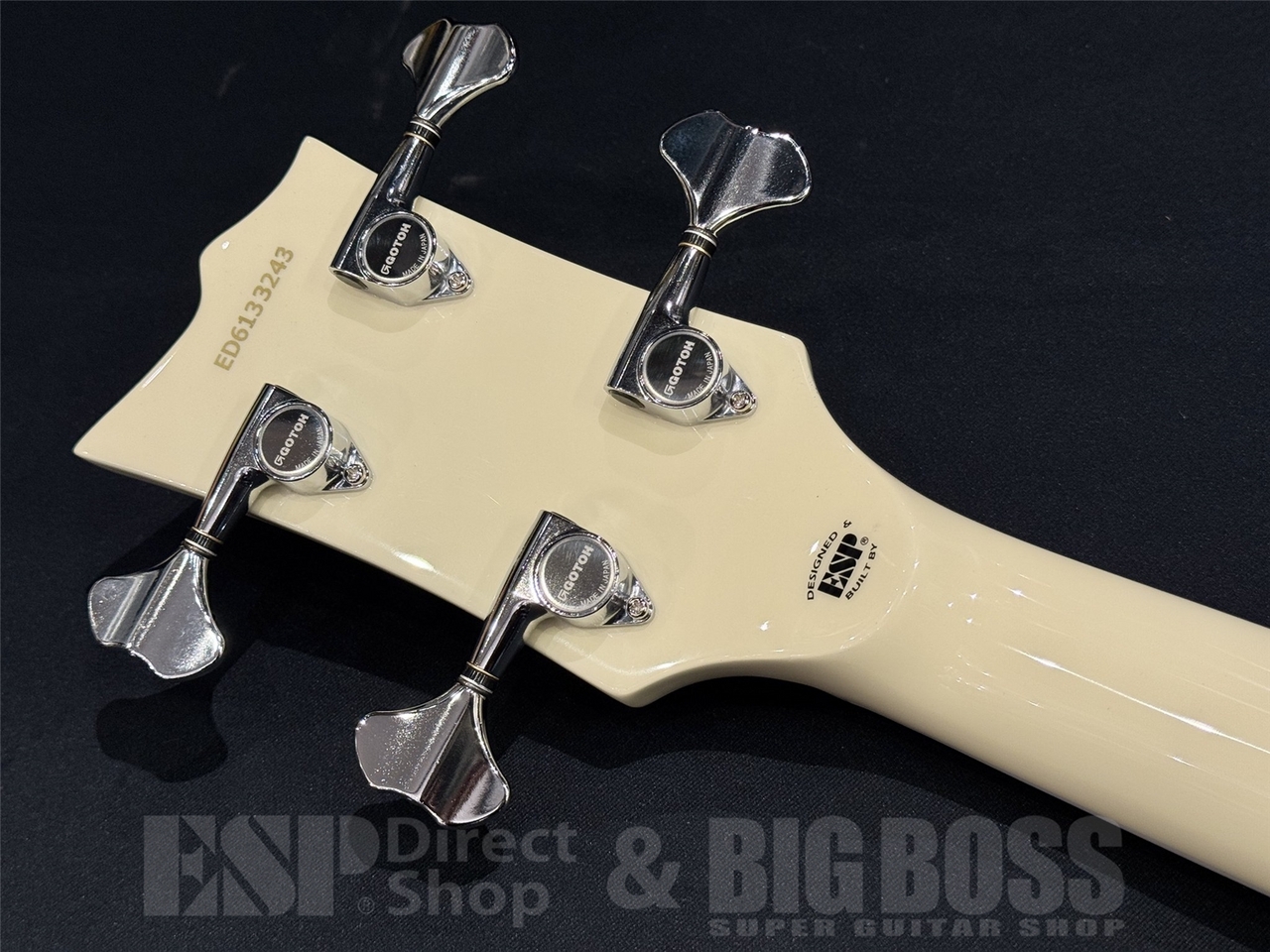 EDWARDS E-Lynn / White（新品/送料無料）【楽器検索デジマート】