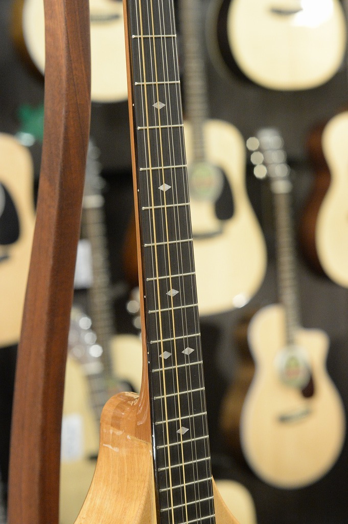 Gold Tone BZ-500 Irish Bouzouki Mandolin（新品/送料無料）【楽器