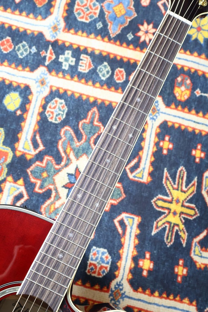 Takamine 【人気カラー】DMP551C WR #63090352【最大48回分割無金利