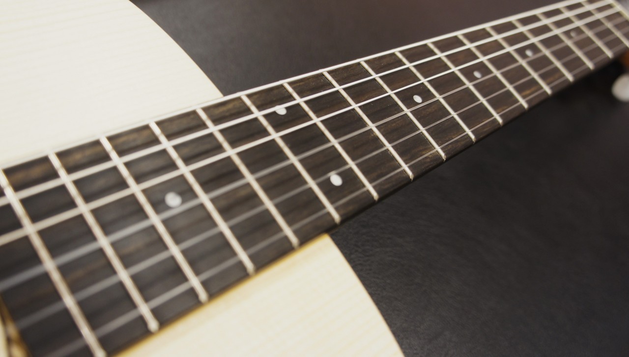 Taylor Academy12e-Nylon（新品）【楽器検索デジマート】