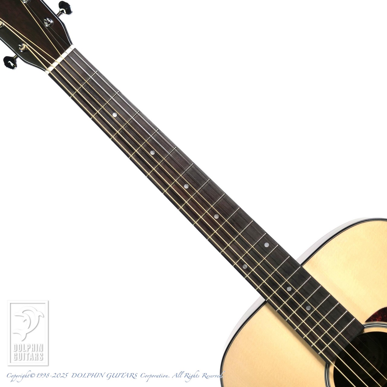 Morris F-1 NAT（新品）【楽器検索デジマート】