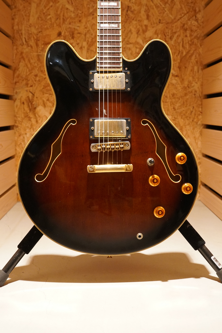Epiphone Sheraton Ⅱ【尾張一宮店】（中古）［デジマートSALE