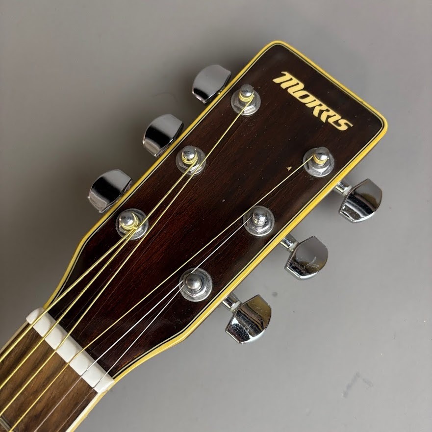 Morris MF-301N（中古/送料無料）【楽器検索デジマート】